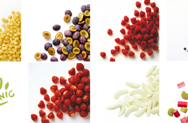 Ardo Bio Organic