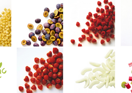 Ardo Bio Organic