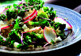Broccoli Salade Met Quinoa